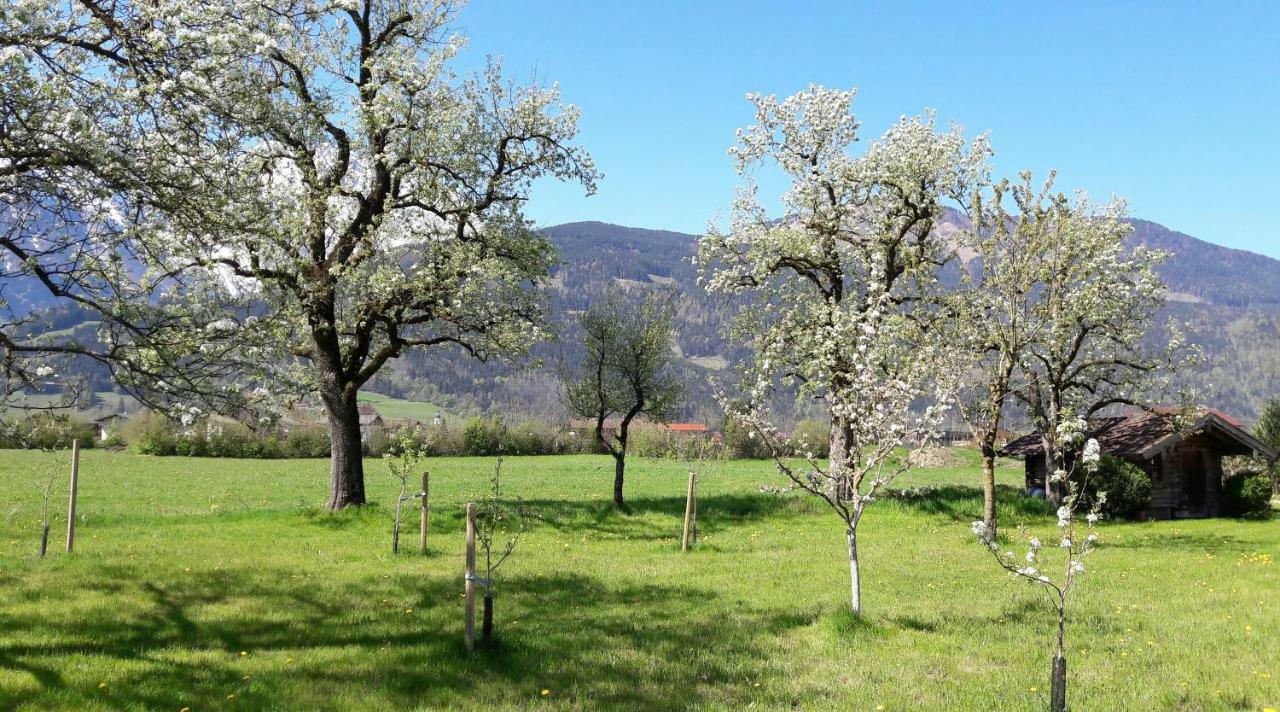 Ferienwohnung Alpenblick Kuchl Zewnętrze zdjęcie